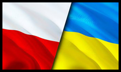 Zdjęcie artykułu Projekt "Aktywizacja zawodowa obywateli Ukrainy" / Проект "Професійна активізація громадян України"